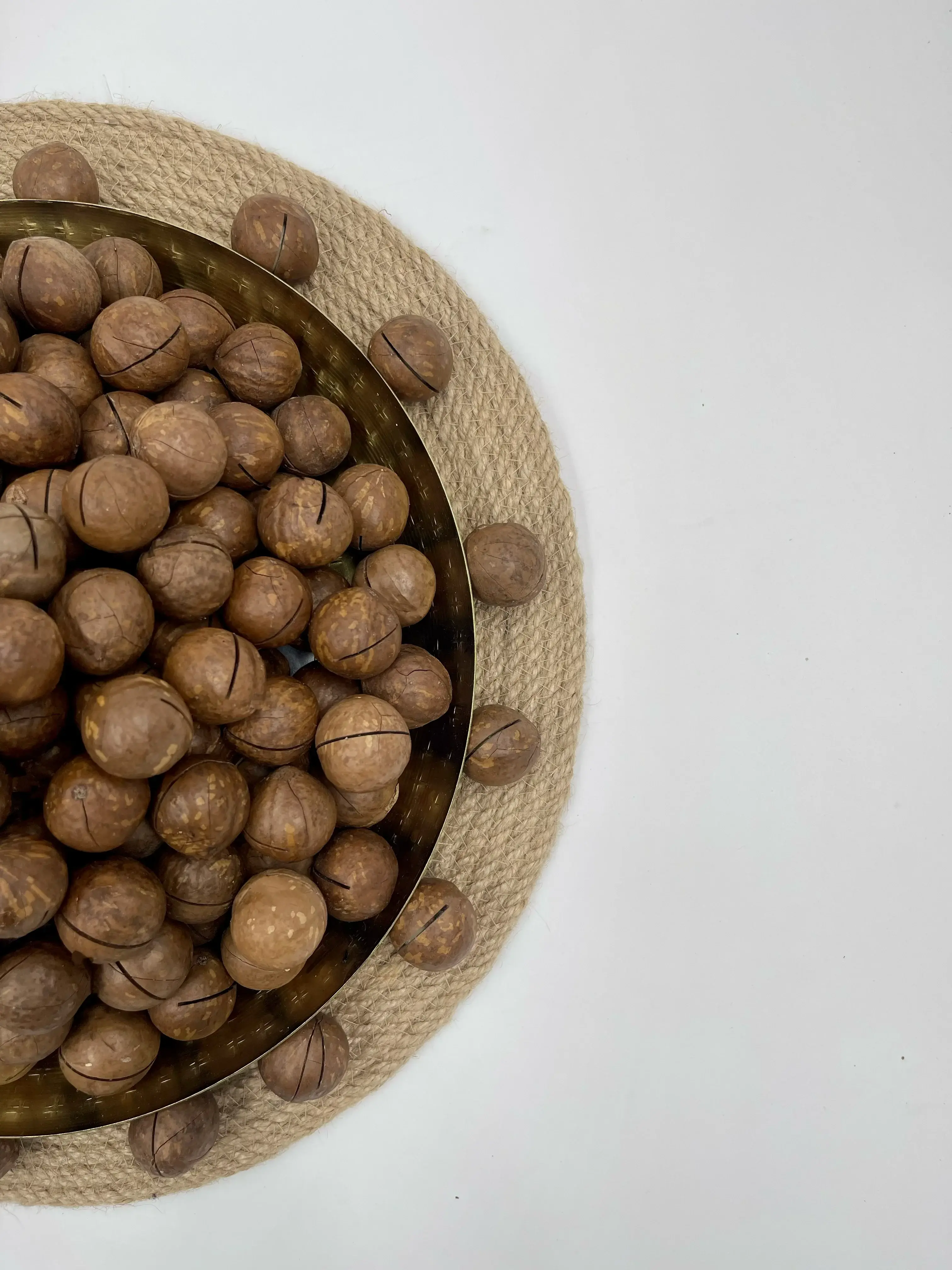 In-Shell Macadamia Nuts thumbnail 10
