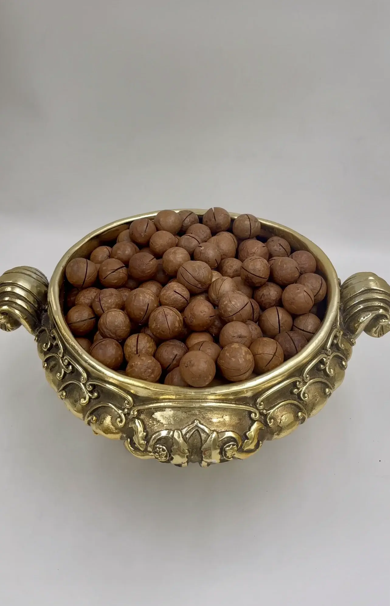 In-Shell Macadamia Nuts thumbnail 11