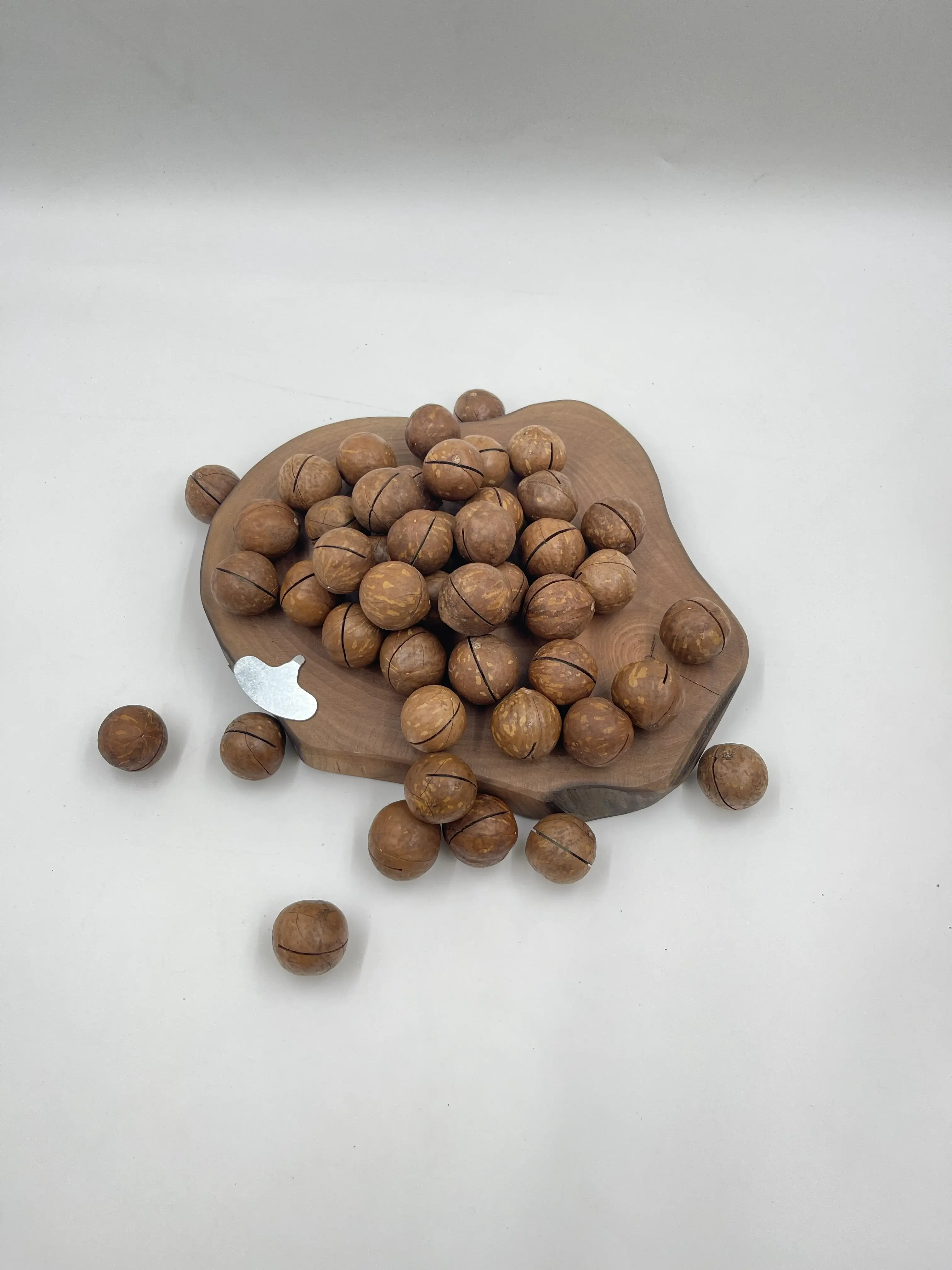 In-Shell Macadamia Nuts thumbnail 4