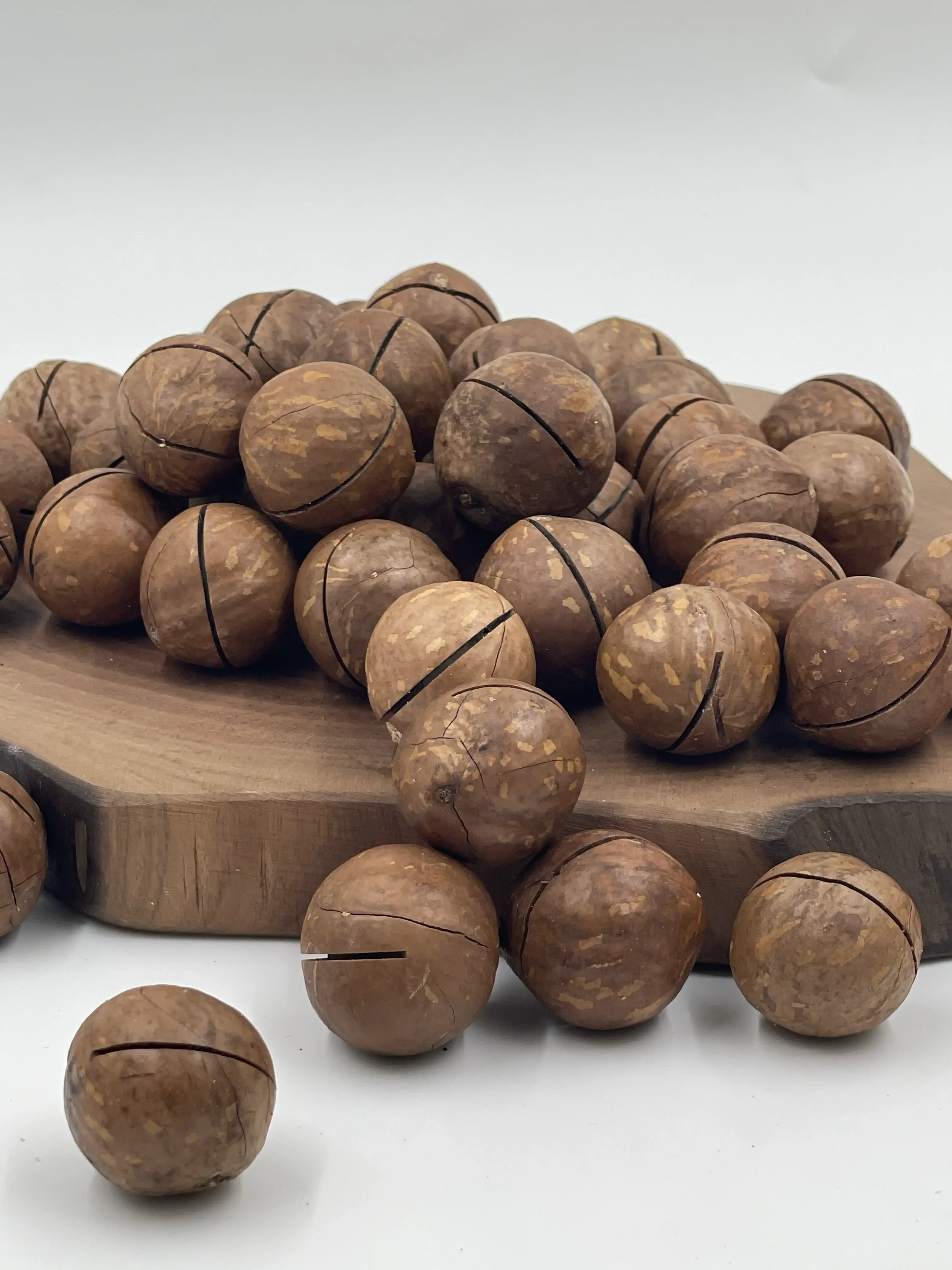 In-Shell Macadamia Nuts thumbnail 6