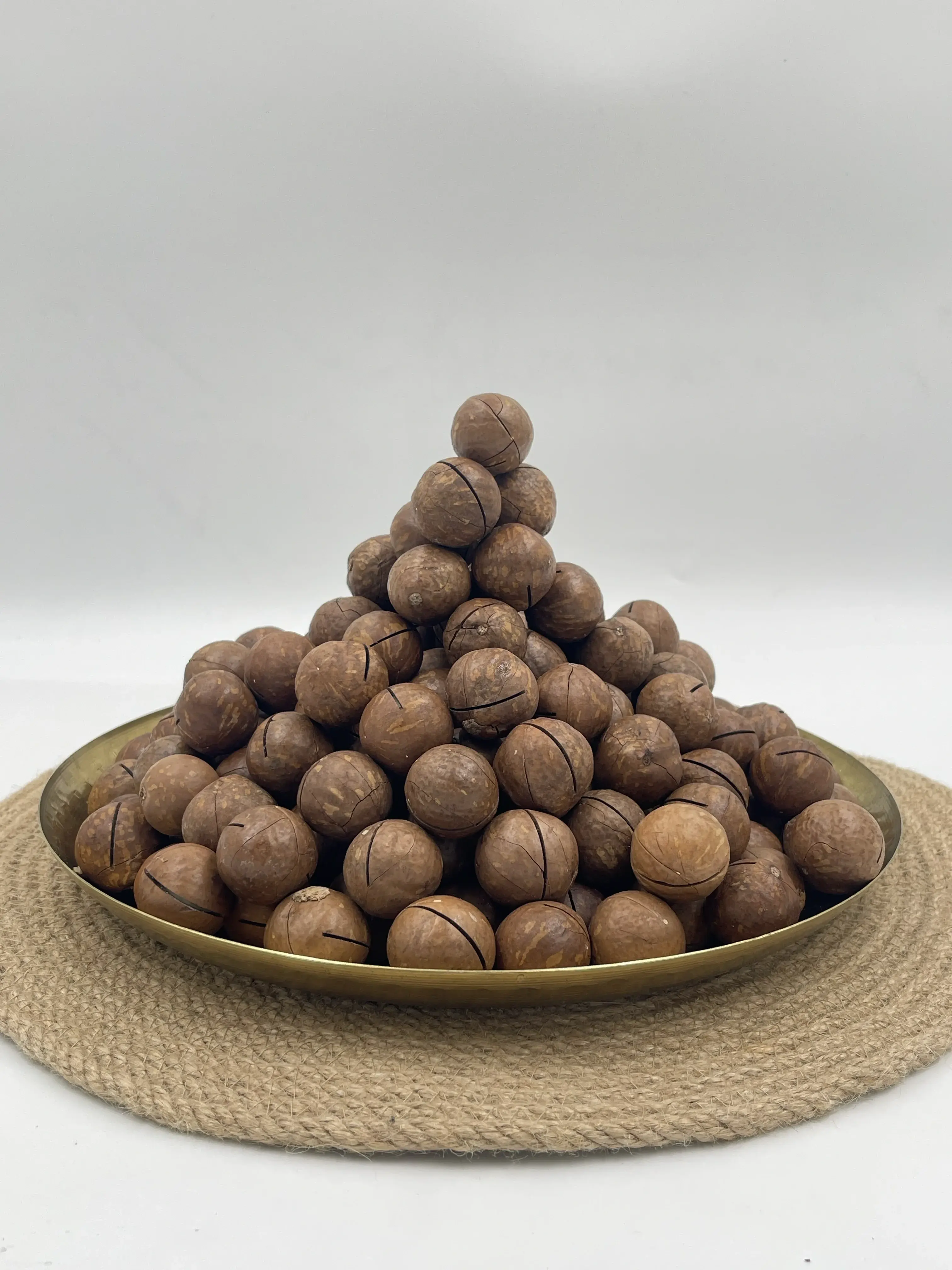 In-Shell Macadamia Nuts thumbnail 8