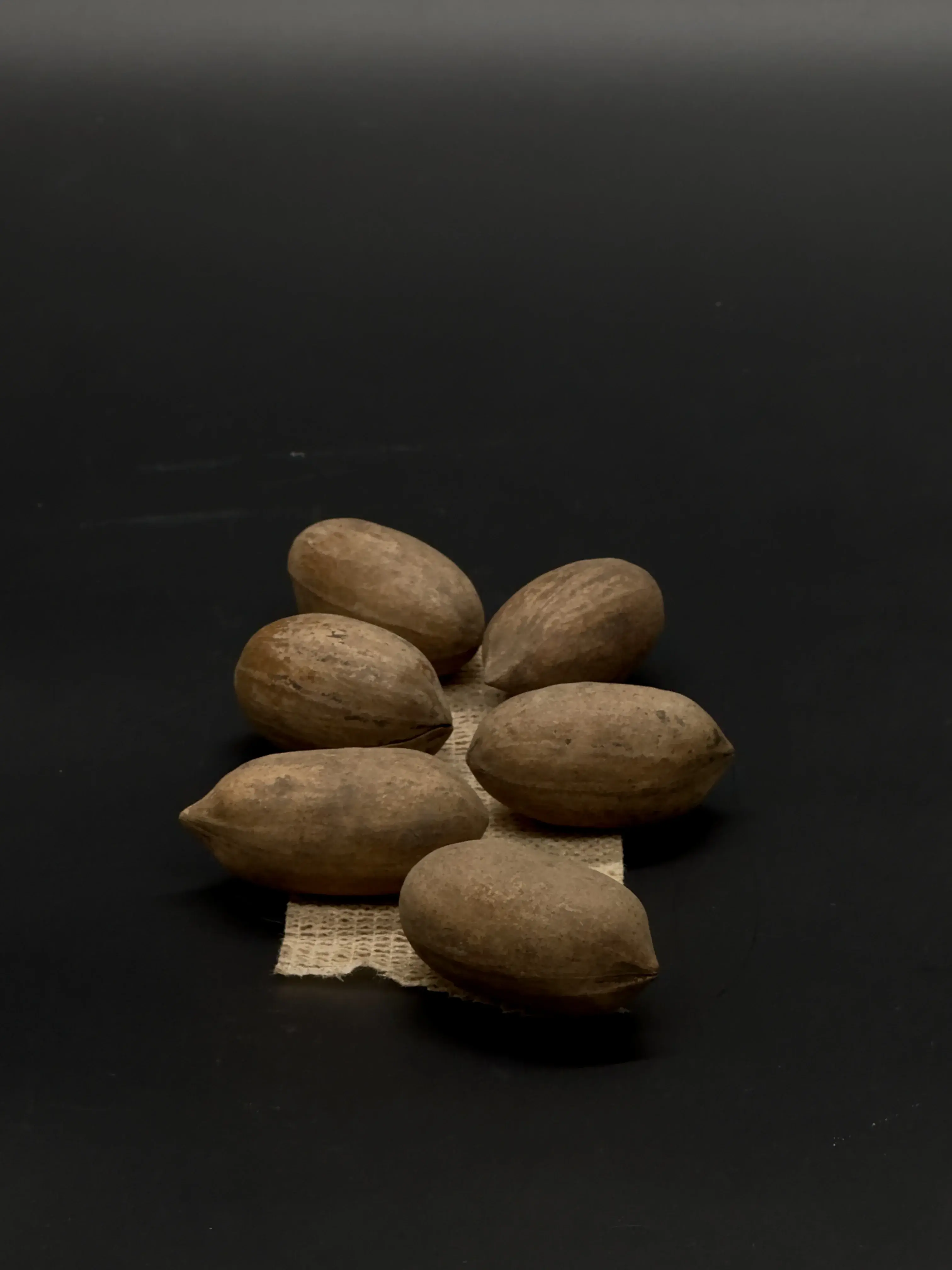In-Shell Pecan Nuts thumbnail 6